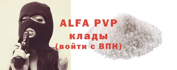 индика Иннополис