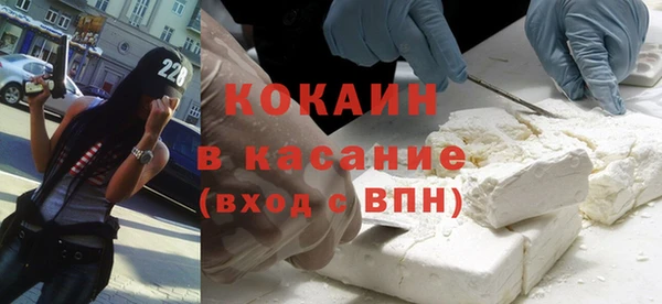 сатива Каменка